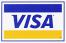 Visa Card graphic